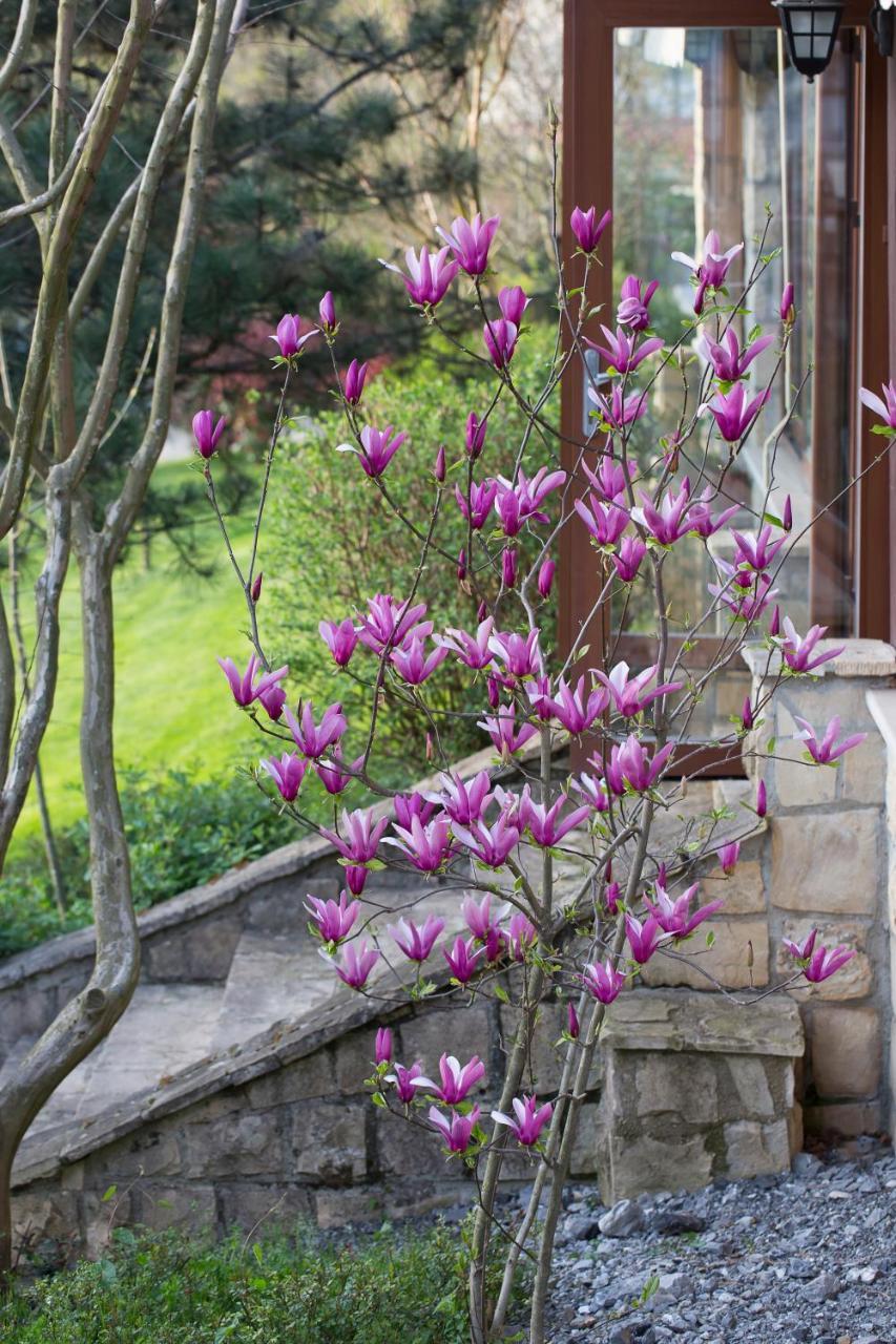 Casa Lavanda Boutique Hotel Ağva Zewnętrze zdjęcie